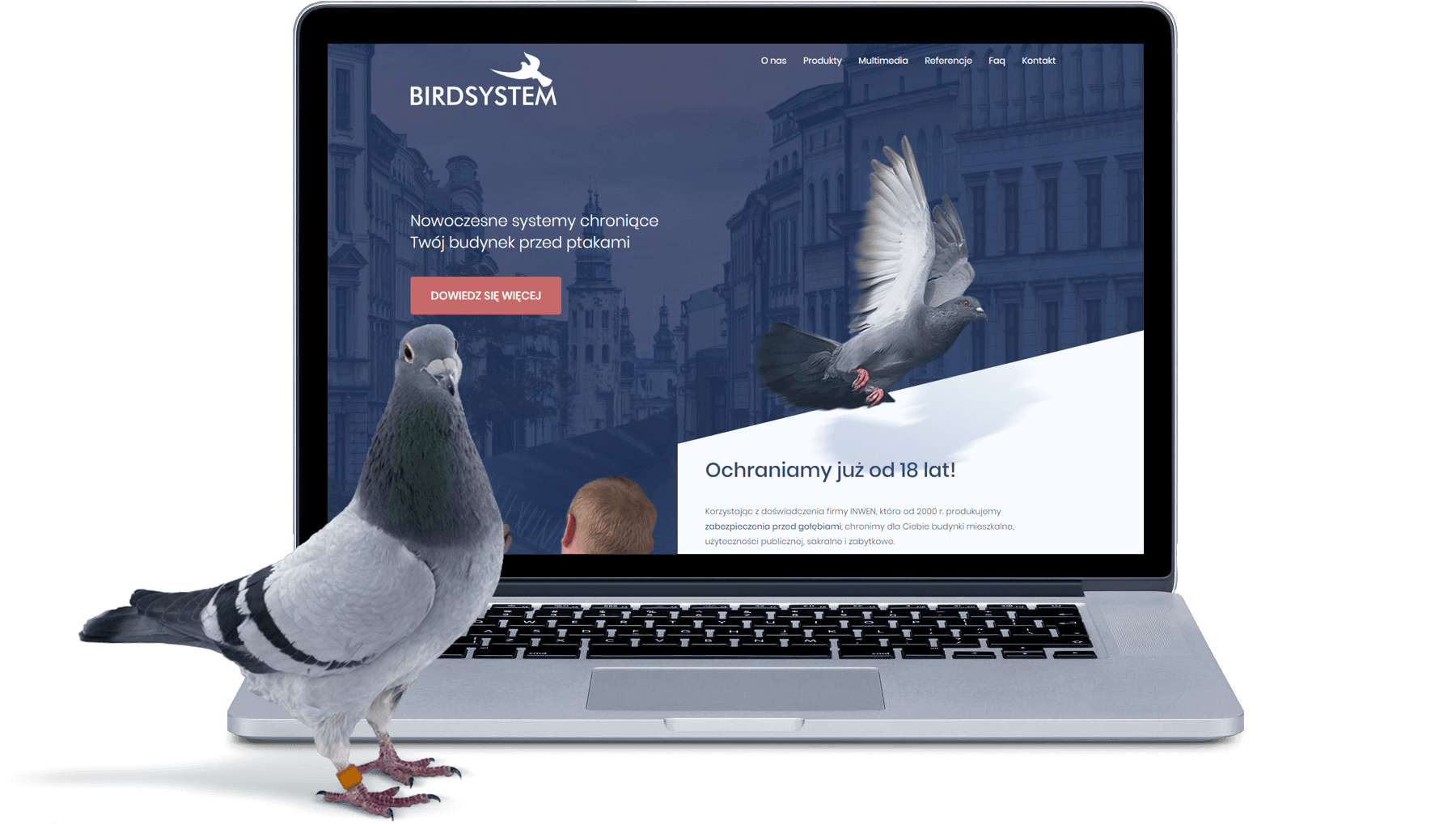 Strona Birdsystem na laptopie